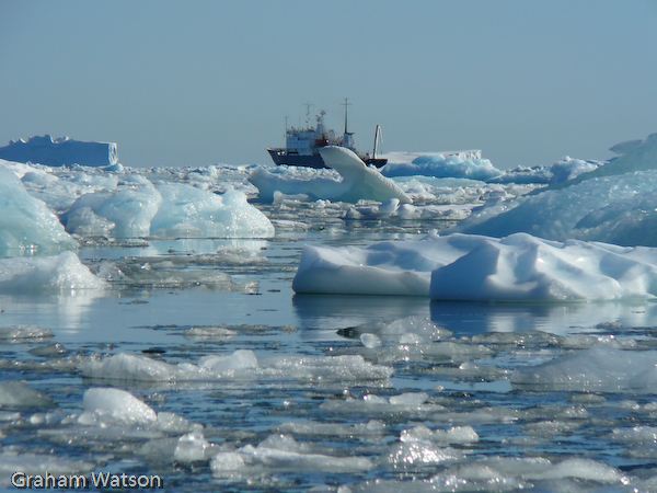 Polar Pioneer amongst the ice