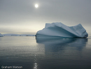Icebergs at Pleneau Island